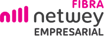 Netwey Infra Logo